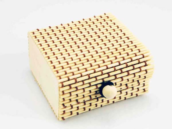 Ring Case_LTSW3091